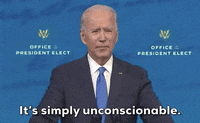 Joe Biden GIF by Election 2020