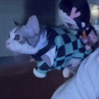 Cute Cat Demon Slayer GIF by Respective