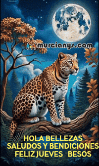 Feliz Amigos GIF by Murcianys LLC