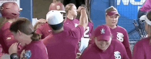 World Series Softball GIF by NCAA Championships