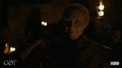 hbo GIF by Game of Thrones