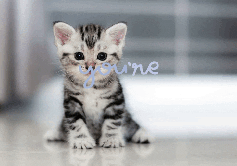 cghosh giphygifmaker giphyattribution GIF