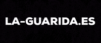 laguaridatrack track mini cooper taller GIF