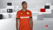 Come On Waiting GIF by Bundesliga