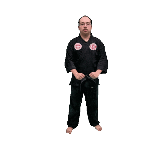 Karate Taekwondo Sticker by Team GMA