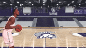 Warriors GIF by WinonaStateATH