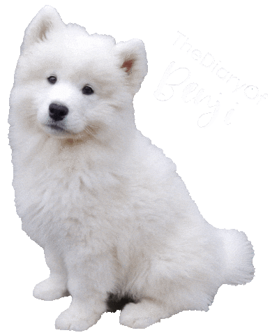 Puppy Sammy Sticker