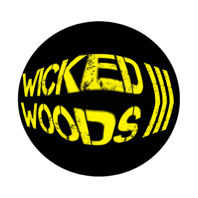 wickedwoodswuppertal giphyupload sport fun skateboard Sticker