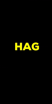 HAGarchitecture design interior hag GIF