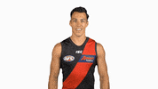 essendonfc dons bombers essendon essendon fc GIF