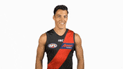 essendonfc dons bombers essendon essendon fc GIF
