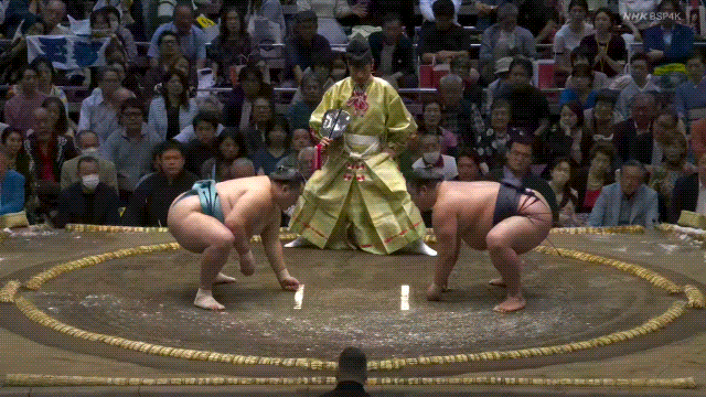 TZ85 giphyupload GIF