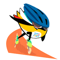 Patinaje Sticker by Santiago 2023