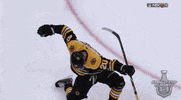 happy ice hockey GIF by NHL