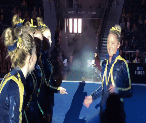 michigan women's gymnastics handshake GIF by Michigan Athletics