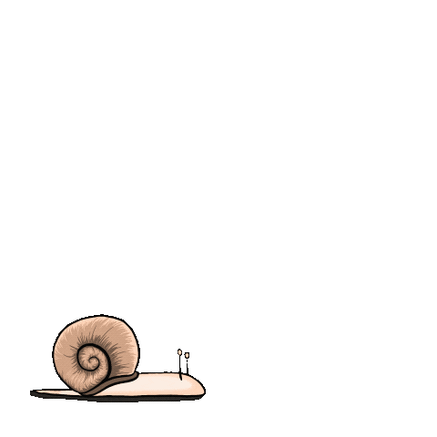 Snail Vkvk Sticker