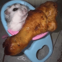 Chicken Wing GIF by Respective