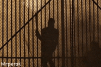 The Walking Dead GIF