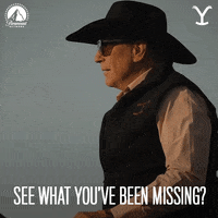 Paramount Network Jd GIF by Yellowstone