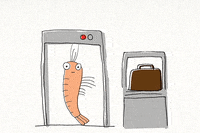 Security Shrimp GIF by Chopt Creative Salad Co.