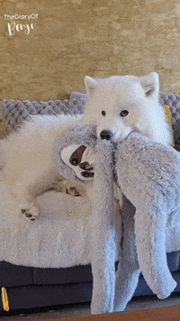 Playtime Wanna Play GIF