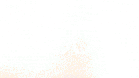 Celebration Goal GIF by FC Red Bull Salzburg