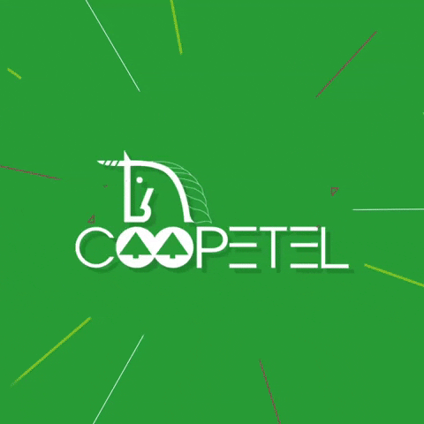 gabrielbalasz giphygifmaker GIF