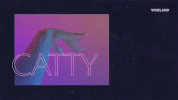 catty GIF by MY HOUSE
