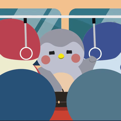 Crowded commute home