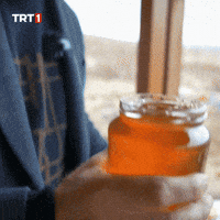 Energy Bee GIF by TRT