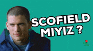 Scofield Miyiz GIF