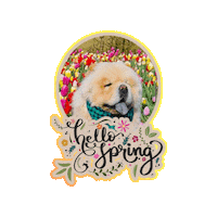 Dogs Spring Sticker by Milagency