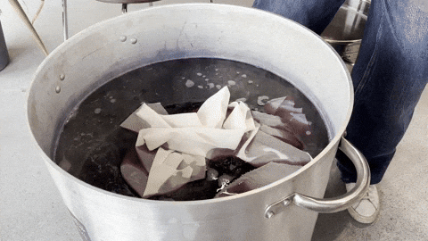 ainhoacadarso giphyupload GIF