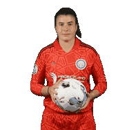 Football Soccer Sticker by Pavia Academy SSD