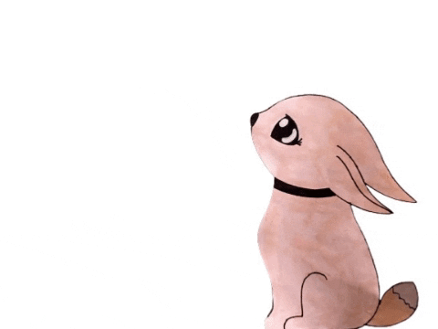 GIF by Kunstkwartier