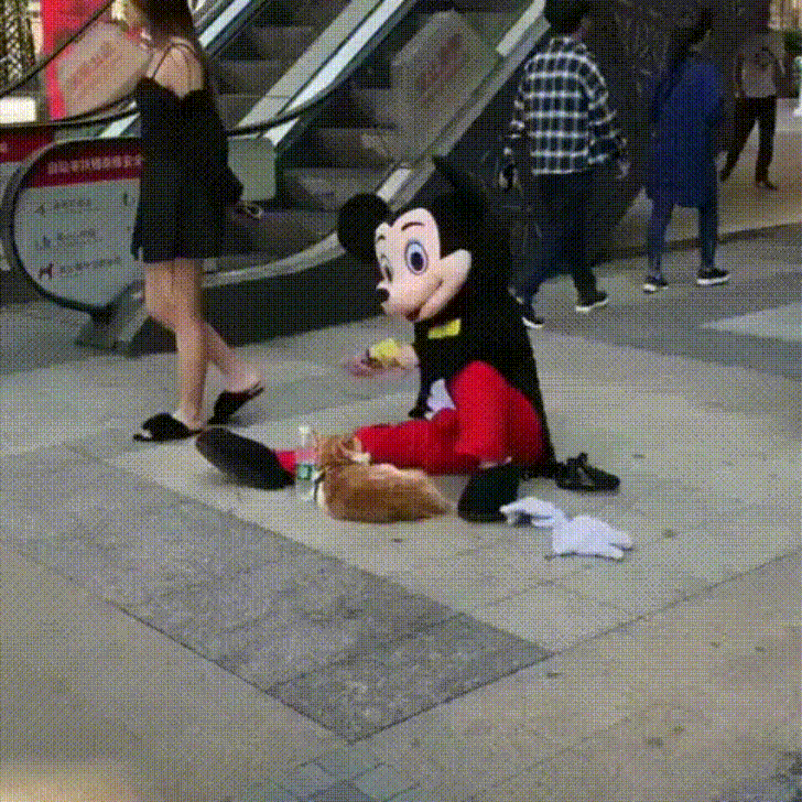 justviralnet funny cute omg hilarious GIF