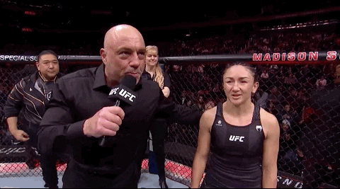 Sport Mma GIF by UFC