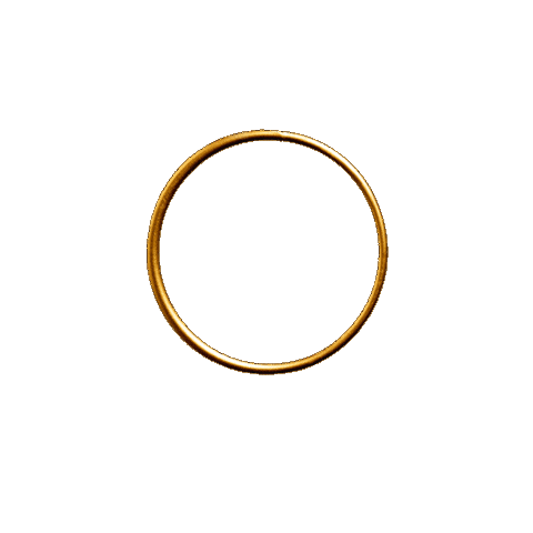 jewelry diamonds Sticker by L'ECOLE Van Cleef & Arpels