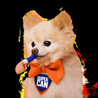 supercan_peru party dog celebration newyear GIF