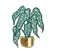 Plant Sticker by Surmont Lii