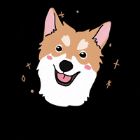 cokayene cute dog stars puppy GIF