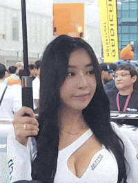 Model GIF