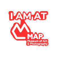 map-india art artist photography fan Sticker