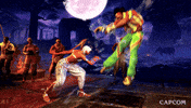 Video Game Fighting GIF by CAPCOM