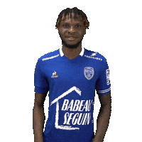 Ligue 1 Ok Sticker by estac_troyes