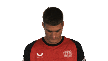 Look Up Bayer Leverkusen Sticker by Bundesliga