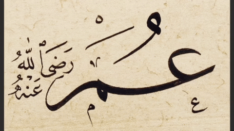 Omar Bin GIF