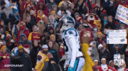 carolina panthers football GIF by NFL
