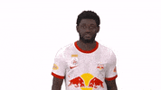 Sekou Koita Celebration GIF by FC Red Bull Salzburg
