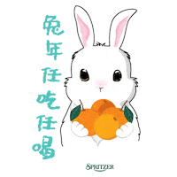 Happy Bunny Sticker by spritzer